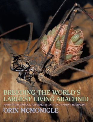 Breeding the World's Largest Living Arachnid: Amblypygid (Whipspider) Biology, Natural History, and Captive Husbandry