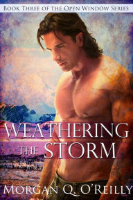 Title: Weathering the Storm, Author: Morgan Q. O'Reilly