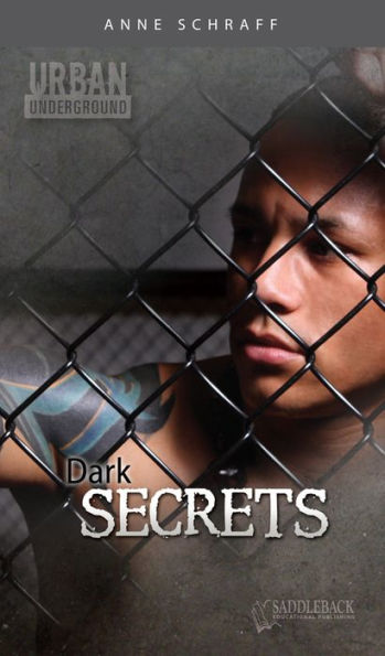 Dark Secrets (Urban Underground Series)