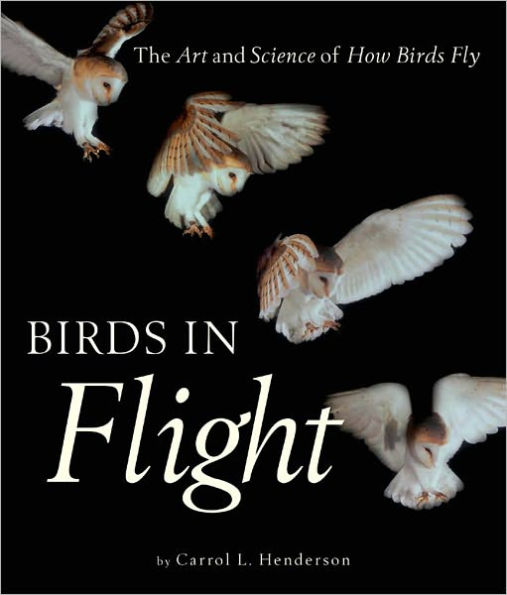 Birds in Flight: The Art and Science of How Birds Fly