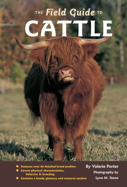 The Field Guide to Cattle by Valerie Porter, Lynn Stone | eBook ...