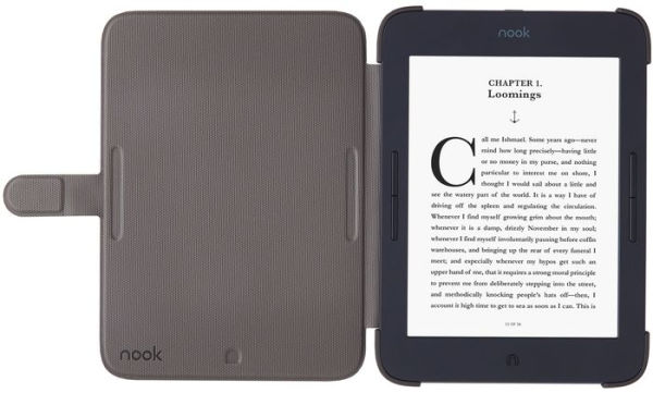 NOOK GlowLight Plus Cover in American Beauty