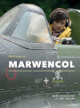 Welcome to Marwencol