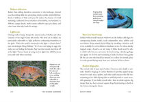 Alternative view 8 of Humane Gardener: Nurturing a Backyard Habitat for Wildlife