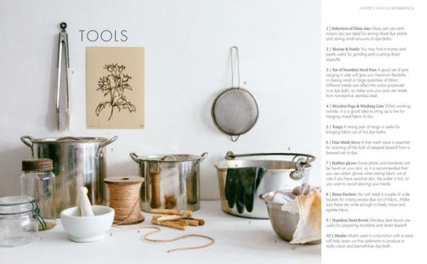 The Wild Dyer: A Maker's Guide to Natural Dyes with Projects Create and Stitch