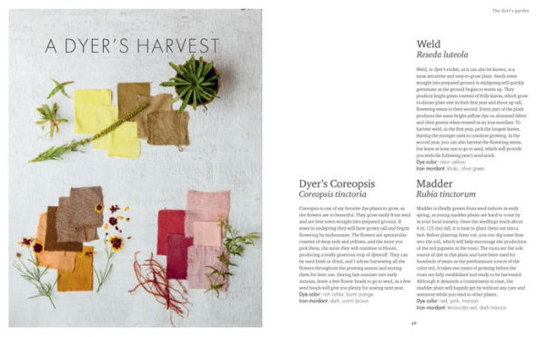 The Wild Dyer: A Maker's Guide to Natural Dyes with Projects to Create and Stitch