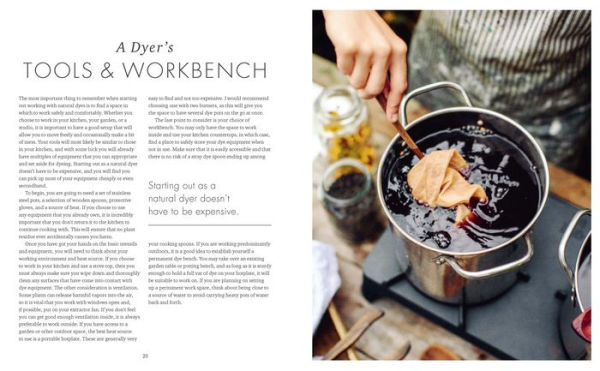 The Wild Dyer: A Maker's Guide to Natural Dyes with Projects to Create and Stitch