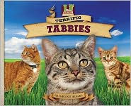 Title: Terrific Tabbies, Author: Katherine Hengel