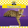 Bengal Cats eBook