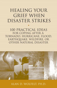 Title: Healing Your Grief When Disaster Strikes: 100 Practical Ideas for Coping After a Tornado, Hurricane, Flood, Earthquake, Wildfire, or Other Natural Disaster, Author: Alan D. Wolfelt