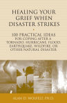 Alternative view 1 of Healing Your Grief When Disaster Strikes: 100 Practical Ideas for Coping After a Tornado, Hurricane, Flood, Earthquake, Wildfire, or Other Natural Disaster