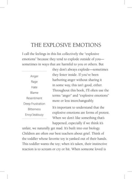 The Anger of Grief: How to Understand, Embrace, and Restoratively Express Explosive Emotions after a Loss