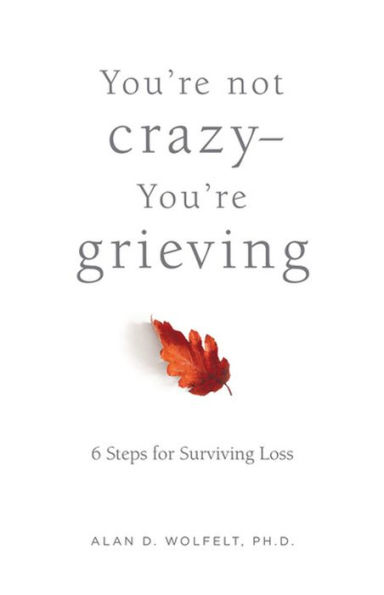 You're Not Crazy-You're Grieving:: 6 Steps for Surviving Loss