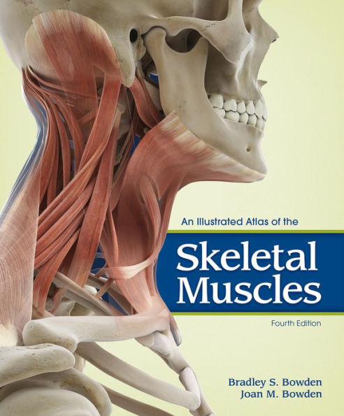 An Illustrated Atlas of the Skeletal Muscles