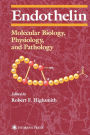 Endothelin: Molecular Biology, Physiology, and Pathology / Edition 1