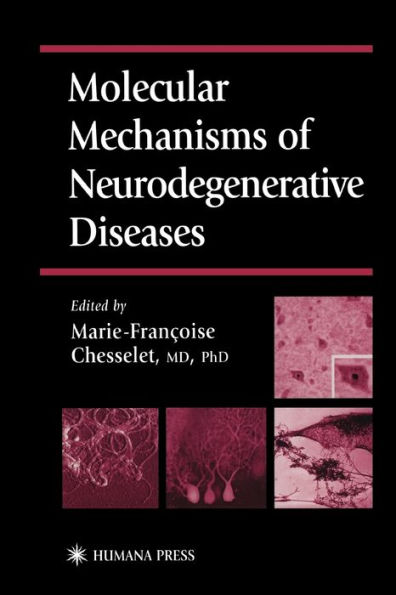 Molecular Mechanisms of Neurodegenerative Diseases / Edition 1