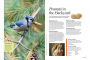 Alternative view 11 of Birds & Blooms Ultimate Guide to Birding