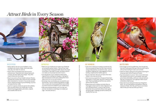 Birds & Blooms Ultimate Guide to Birding