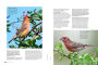 Alternative view 16 of Birds & Blooms Ultimate Guide to Birding