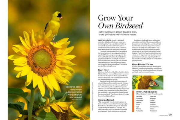 Birds & Blooms Ultimate Guide to Birding