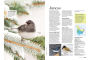 Alternative view 4 of Birds & Blooms Ultimate Guide to Birding