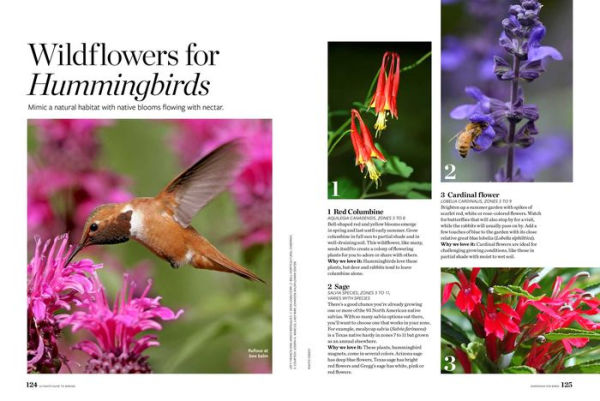 Birds & Blooms Ultimate Guide to Birding