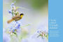 Alternative view 7 of Birds & Blooms Ultimate Guide to Birding