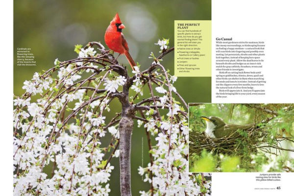 Birds & Blooms Ultimate Guide to Birding