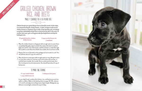 Home Cooking for Your Dog: 75 Holistic Recipes a Healthier Dog