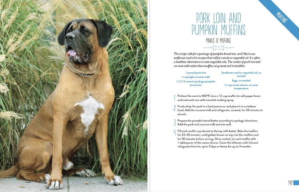 Home Cooking for Your Dog: 75 Holistic Recipes a Healthier Dog