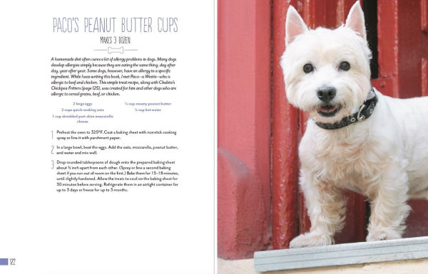 Home Cooking for Your Dog: 75 Holistic Recipes a Healthier Dog