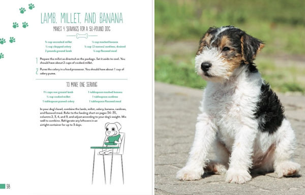 Home Cooking for Your Dog: 75 Holistic Recipes a Healthier Dog