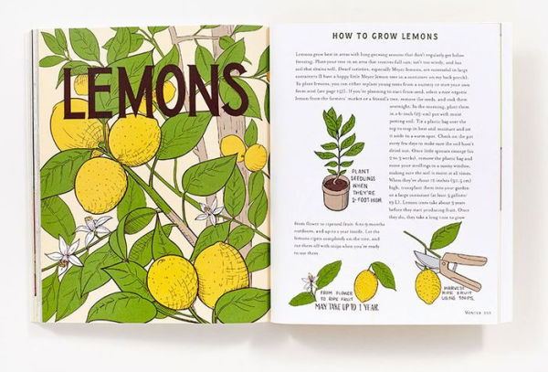 Homegrown: Illustrated Bites from Your Garden to Your Table