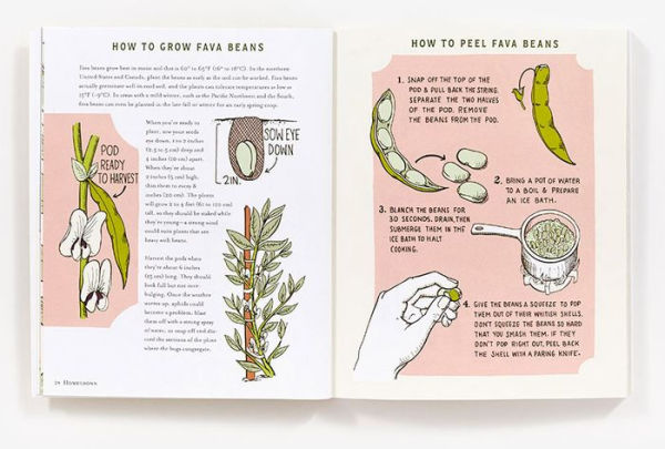 Homegrown: Illustrated Bites from Your Garden to Your Table