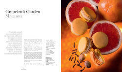 Alternative view 13 of Pierre Hermé Macaron: The Ultimate Recipes from the Master Pâtissier