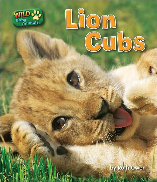 Lion Cubs by Ruth Owen, Hardcover | Barnes & Noble®