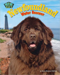 Title: Newfoundland: Water Rescuer, Author: Dawn Bluemel Oldfield