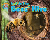 Title: Inside the Bees' Hive, Author: Karen Ang