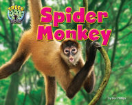 Title: Spider Monkey, Author: Dee Phillips