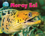 Title: Moray Eel, Author: Jen Green