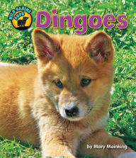 Title: Dingoes, Author: Mary Meinking