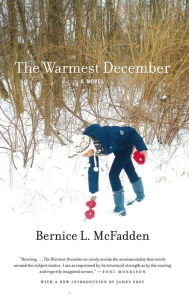 Title: The Warmest December, Author: Bernice L. McFadden