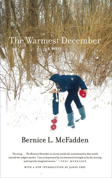 The Warmest December: A Novel