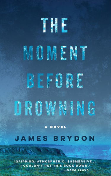 The Moment Before Drowning: A Novel