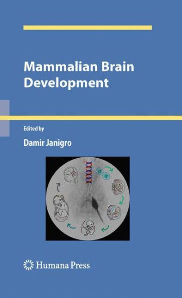 Mammalian Brain Development / Edition 1