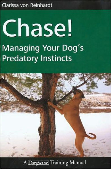 Chase! - Managing Your Dog's Predatory Insticts
