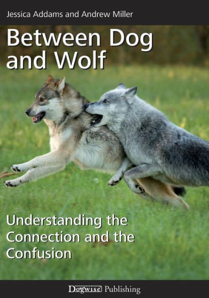 Between Dog and Wolf: Understanding the Connection and the Confusion