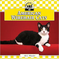 American Wirehair Cats