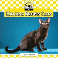 Title: Havana Brown Cats, Author: Jill C. Wheeler