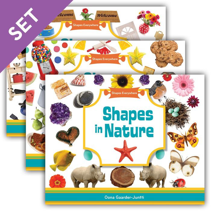 Shapes Everywhere